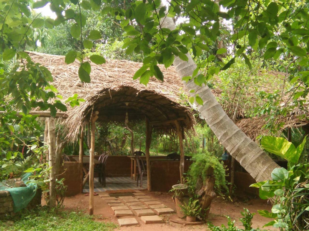 Gimanhala Cottage & Cookary Class Анурадхапура Экстерьер фото
